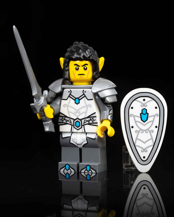 Elf Paladin